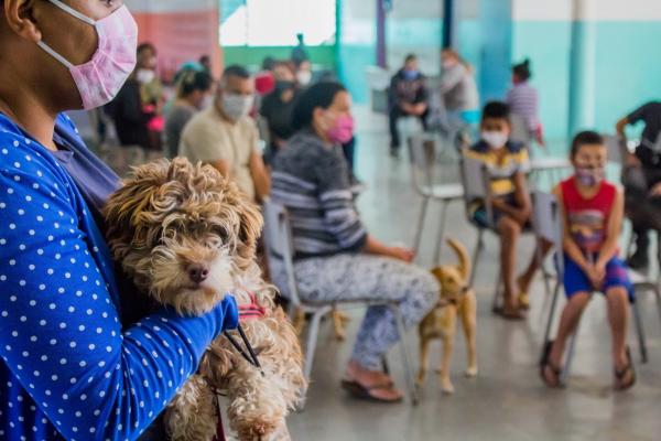 Prefeitura abre inscrições para castração de animais em Pirapora do Bom Jesus