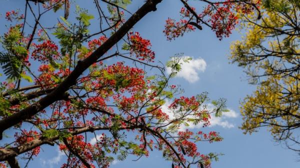 Temperatura poderá chegar aos 29 graus nesta sexta (25)