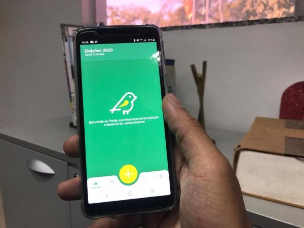 Saiba como denunciar irregularidades em campanhas pelo app do TSE