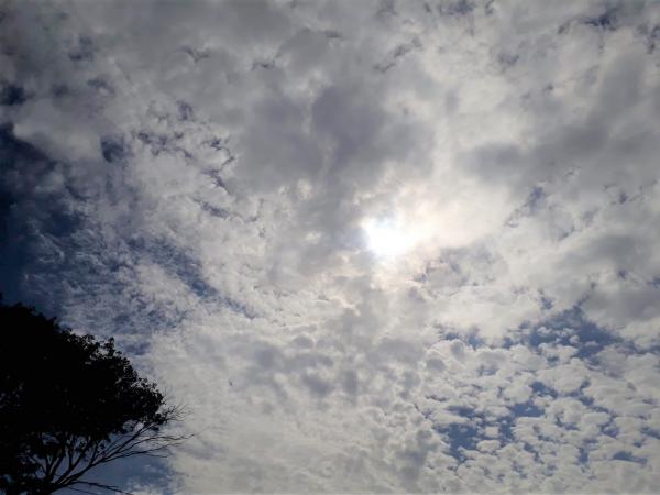 Frente fria a partir desta sexta traz chuva e queda de temperatura