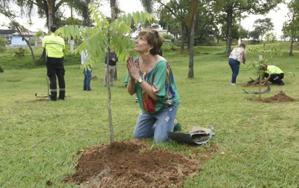 Prefeitura lança Memorial de Vítimas de Acidentes de Trânsito