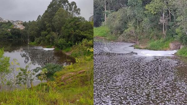 Espuma branca aparece em lago em Jordanésia