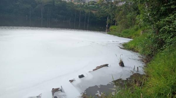 Pela 2ª vez, empresa é multada por despejo irregular de produtos químicos em Lago no Maria Luíza