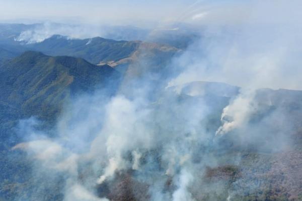 Incêndios de grandes proporções atingem cidades da região