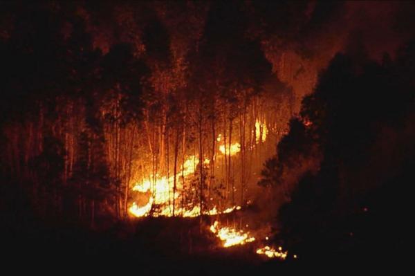 Incêndios atingem áreas verdes de cidades da Grande SP