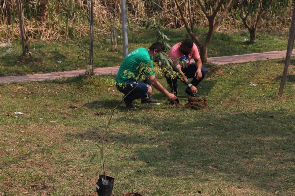 Ação ambiental inicia plantio de mudas de árvores em Cotia 