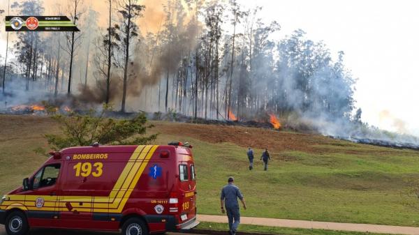 Avião cai em Piracicaba, causa incêndio e deixa 7 mortos