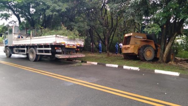 Equipes da Prefeitura limpam vias e retiram 17 árvores que caíram durante as chuvas