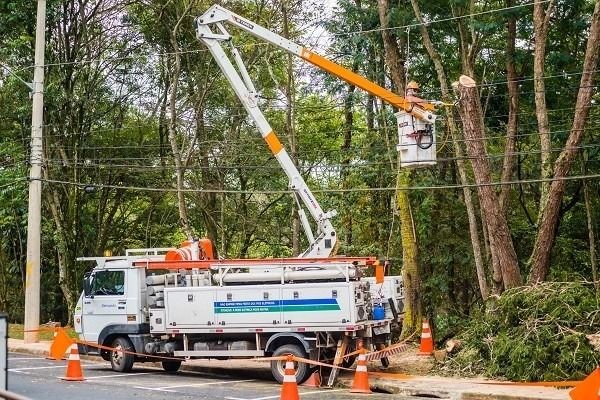 Enel é notificada pelo Procon sobre falta de energia