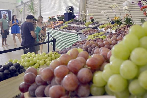 37ª edição da Festa da Uva começa nesta quinta-feira em Jundiaí