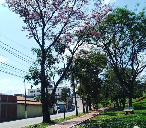 A quarta-feira (9) será de sol entre nuvens em Cajamar 