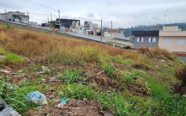 Vizinhos de terrenos abandonados sofrem com o aparecimento de aranhas e escorpiões em Cajamar