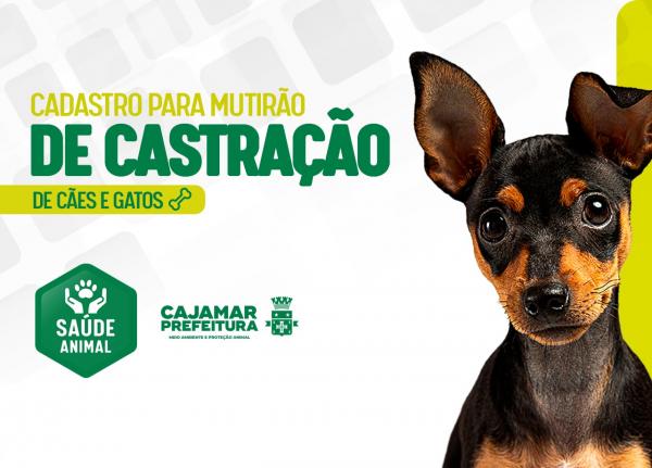 Saúde Animal realiza cadastro para castração nos bairros