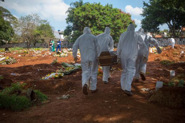 Estado de SP registra 224 mortes por Covid-19 em 24h e chega a 2.049 vítimas